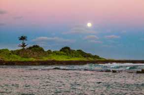 Moon over Turtle Bay-0929.jpg